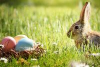 Quoi faire ce weekend de Pâques en Estrie ?